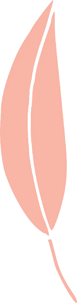 Leaf - Highly Rated PNG - Transparent Background PNG