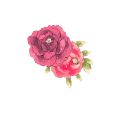 Pink Rose Bouquet - green leaves - flowers - High Resolution PNG