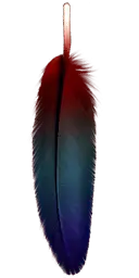 Colored Feather - lightweight - PNG