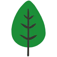 Leaf - green - Transparent Background PNG