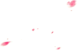 Pink Petals Falling - pink - petal - PNG Images