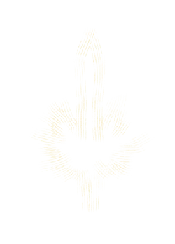 Cross - freedom - Highly Rated PNG