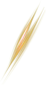 Light Trail - photography - visual effects - Transparent Background PNG