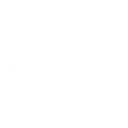 Shining Stars - light spots - stars - No Watermark PNG