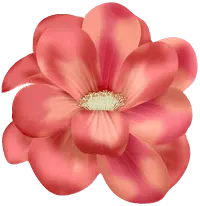 Rose - High Quality PNG - Transparent Layer PNG