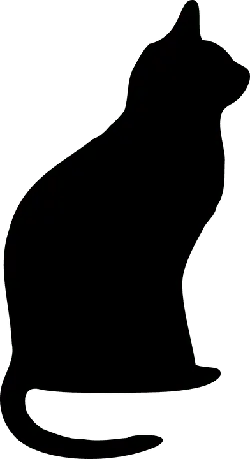 Black Owl - High Resolution PNG - Designer Recommended PNG