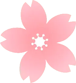 Cherry Blossom - Designer's Pick PNG - Recommended PNG