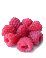 Raspberry - juicy - Designer Recommended PNG
