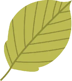 Leaf - Designer's Pick PNG - Lossless PNG