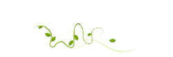 Vine and Leaves - leaves - High Resolution PNG