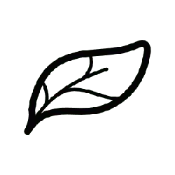 Leaf - Designer's Pick PNG - High Quality PNG