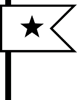Black Flag with White Star - minimalist - High Resolution PNG