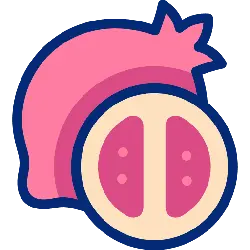 Pomegranate - Lossless PNG - juicy