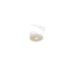 Brown Spiral Object - shape - Lossless PNG
