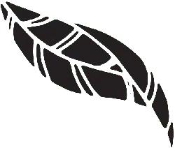 Feather - artistic - nature - No Watermark PNG