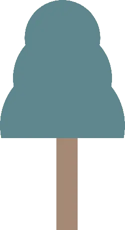 Tree - No Watermark PNG - No Background PNG