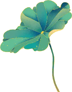 Lotus Leaf - nature - Lossless PNG