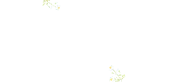 White Daisies - plant - No Watermark PNG