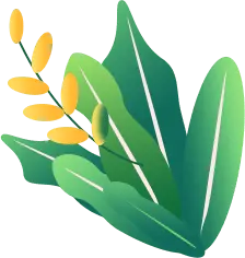 Plant - High Resolution PNG