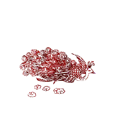 Red Flower - beautiful - Highly Rated PNG