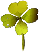 Clover - leaf - Free Download PNG