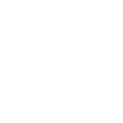 Christmas Tree - lights - Transparent Layer PNG