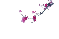 Pink Flowers - spring - beautiful - PNG Images