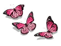Pink Butterfly - insect - pink - Free Download PNG