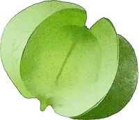 Clover - Transparent Background PNG - green