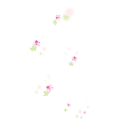 Pink Flowers - bloom - No Watermark PNG