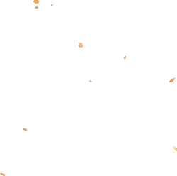 Stars in the Night Sky - Transparent Layer PNG