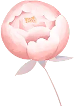 Pink Flower - illustration - Free for Commercial Use PNG