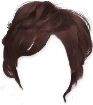 Brown Hair - model - No Watermark PNG