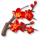Plum Blossom - red - Trending PNG