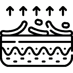 nocturnal - Free for Commercial Use PNG - Black Owl