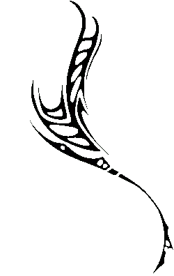 PNG - nocturnal animal - Black Owl - Pic 2