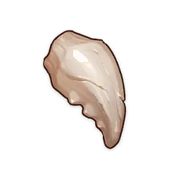 Shell - soft - No Background PNG