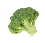 Broccoli - Trending PNG - healthy food
