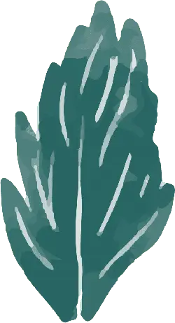 Green Leaf - art - nature - No Watermark PNG