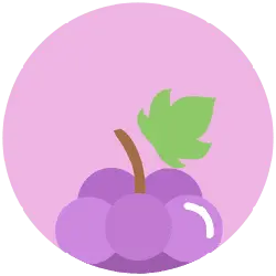Grape - leaf - fruit - High Resolution PNG