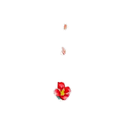 Red Flower - nature - Highly Rated PNG