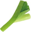 Celery Leaf - nutritious - No Background PNG