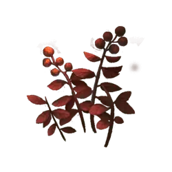 Red Plant - red - High Resolution PNG