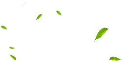 Falling Leaves - falling - Designer Recommended PNG