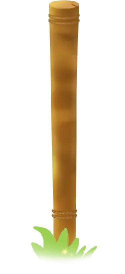 Bamboo - stem - growth - PNG