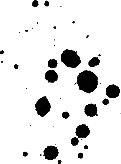 Designer's Pick PNG - night hunter - Black Owl - Pic 2