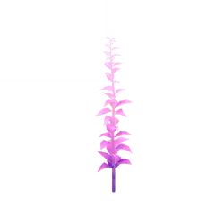Purple Plant - leaves - PNG