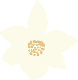 White Flower - art - Fast Download PNG