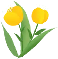 Tulip - green - High Resolution PNG