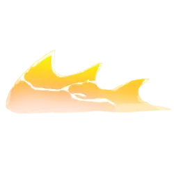 Shark Fin - seafood - High Resolution PNG